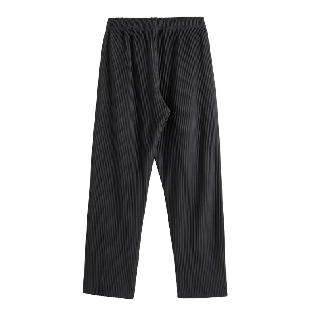 Todi Pleated Pants